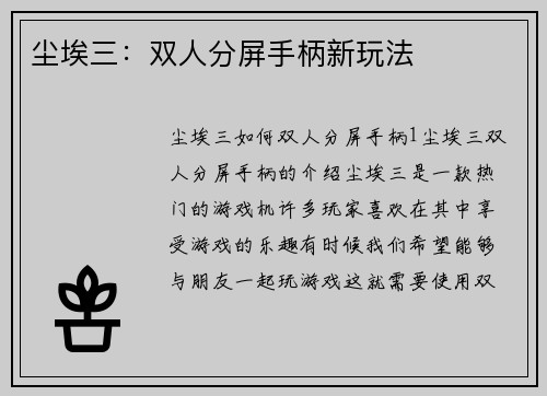 尘埃三：双人分屏手柄新玩法